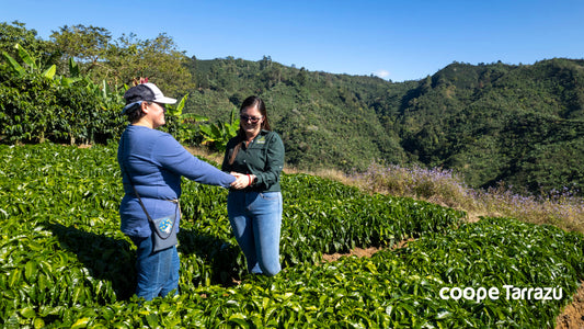 Costa Rica, La Pastora Tarrazu (Washed)
