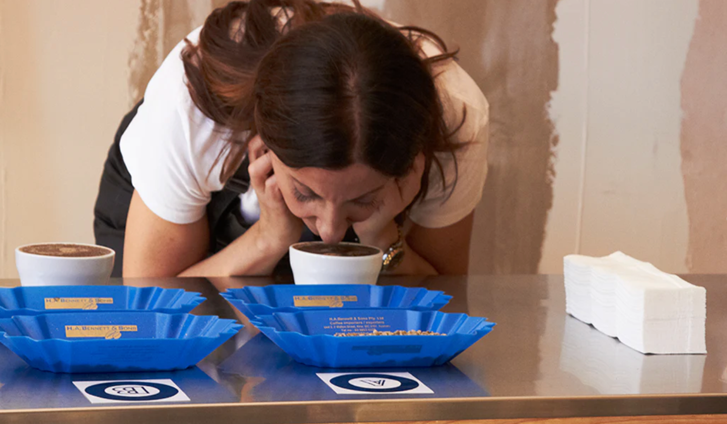 Cupping and Tasting Workshop: A Unique Team Building Experience at Numero Uno Coffee Roastery