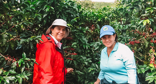 The Story of Our Nicaragua Single Origin