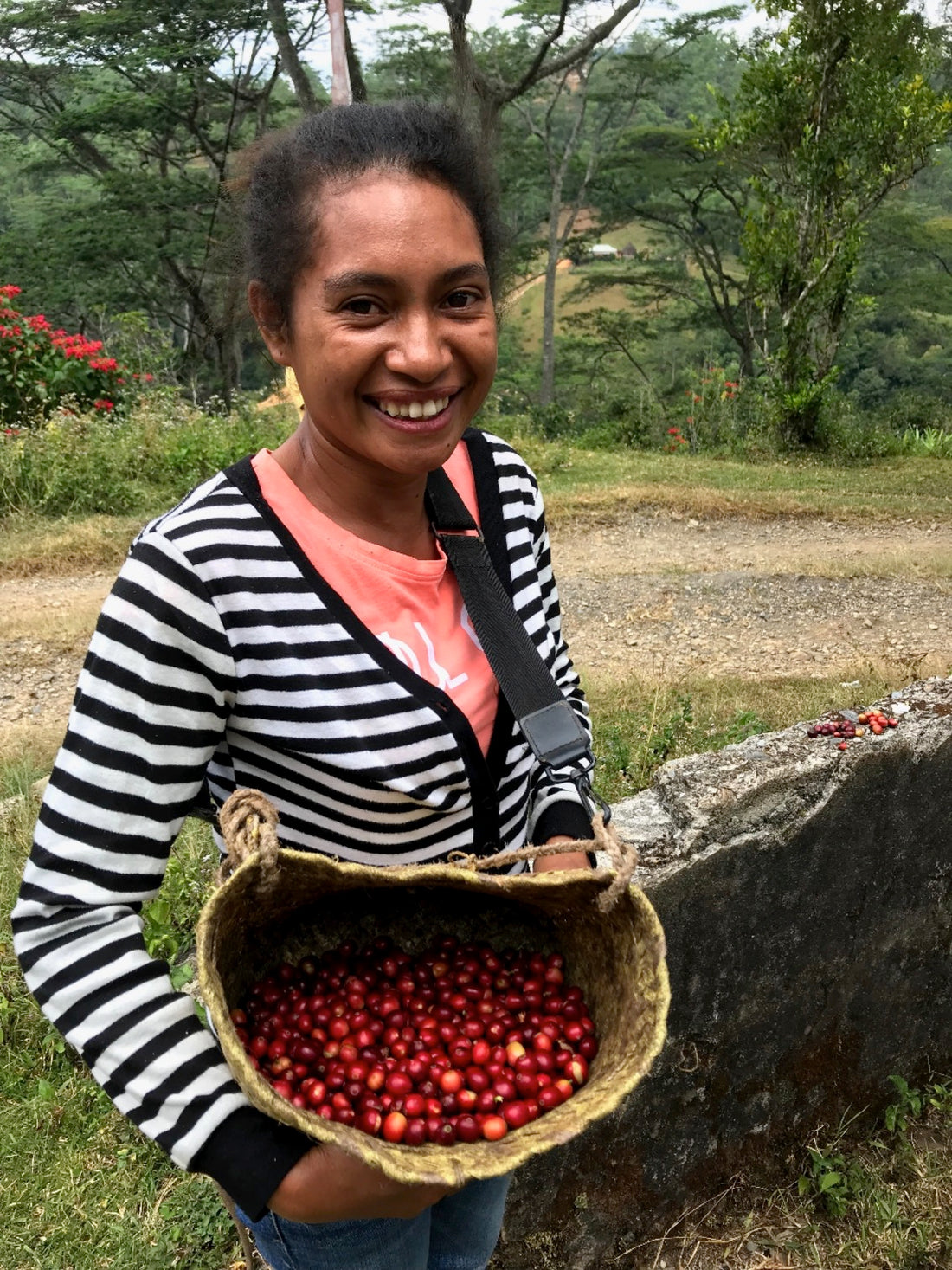 JUDGING NOTES: Timor-Leste 2019 Coffee Quality Competition Winner - Fatubessi, Natural Process