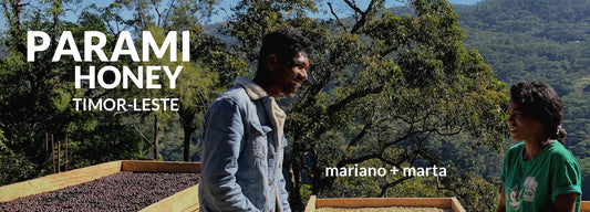 TIMOR-LESTE Parami Honey, Mariano 'Ameta' Dacosta Alves