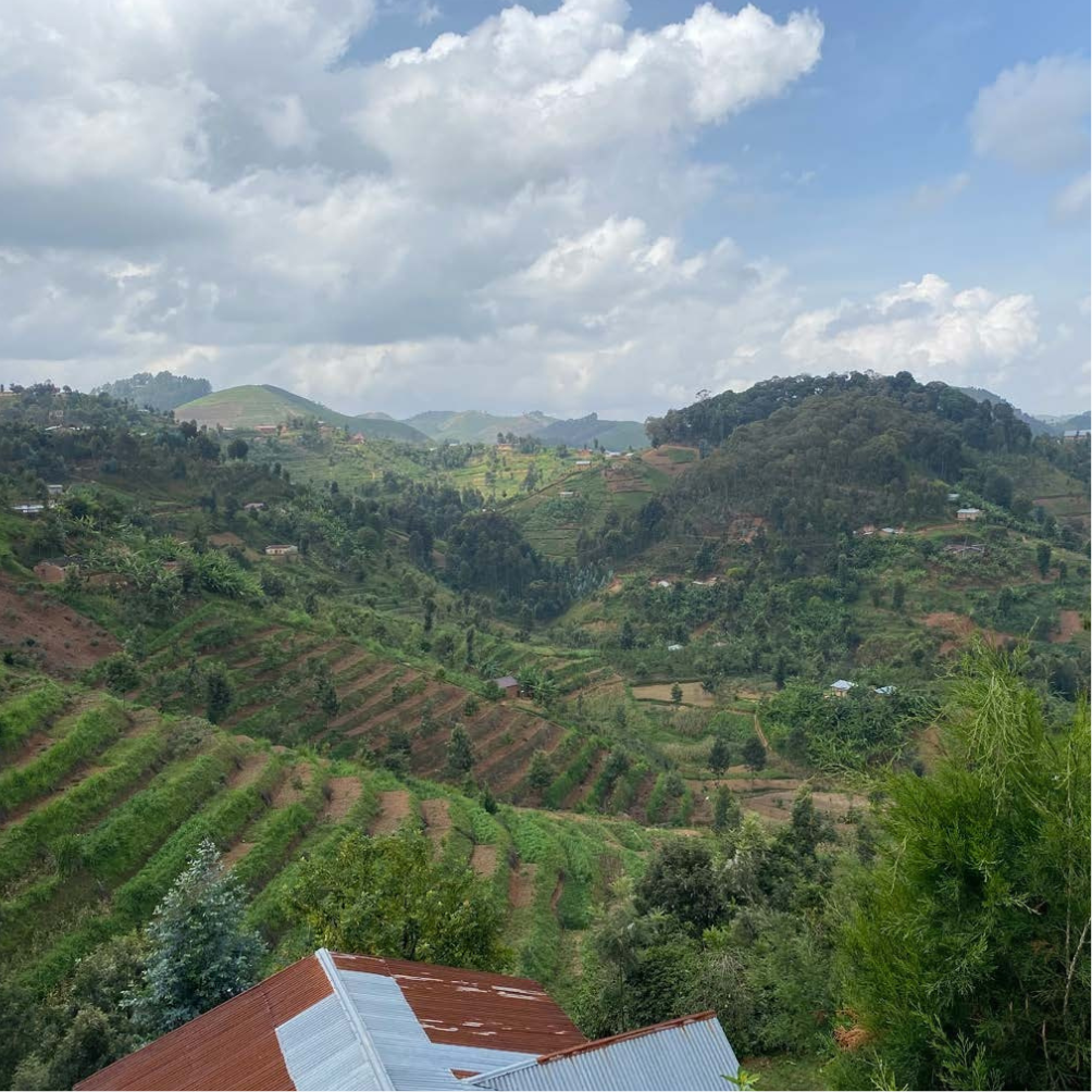Rwanda, Mutovu (Washed)